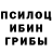 Галлюциногенные грибы Magic Shrooms juna rijal