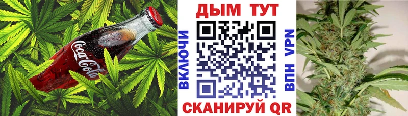Cannafood конопля  Купить  Порхов 