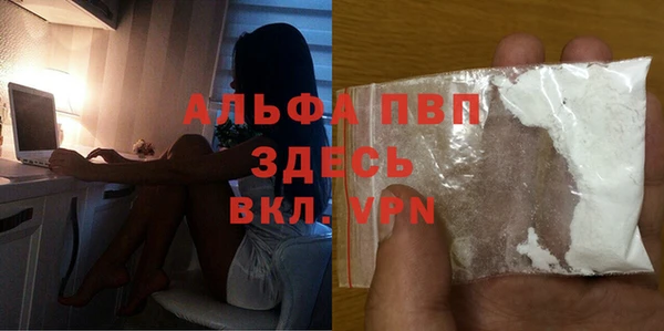 ГАЛЛЮЦИНОГЕННЫЕ ГРИБЫ Новозыбков