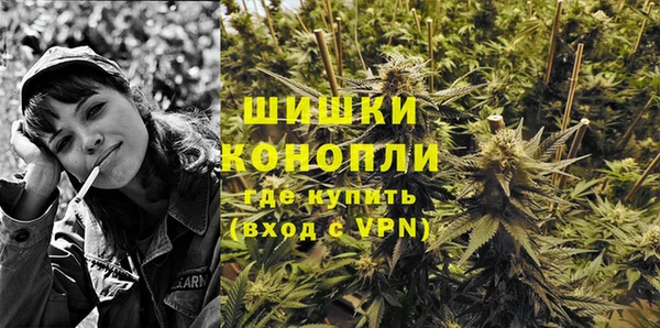 шишки Новодвинск