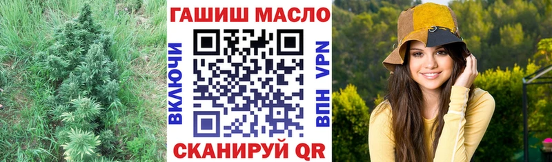 Купить закладки  Порхов  ТГК вейп с тгк 
